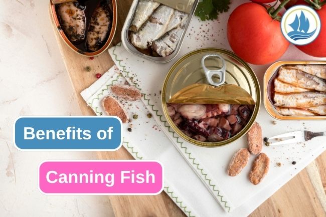 5 Advantages Of Fish Canning Method